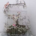Vogelkäfig 1